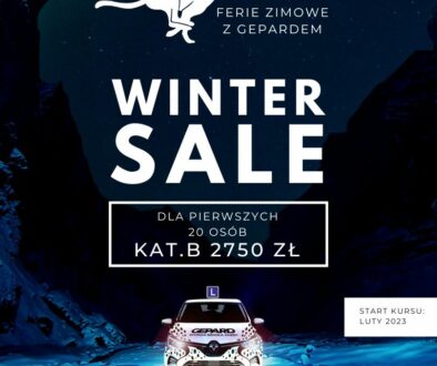 Black and White Modern Winter Sale Flyer (1080×1080 px) (1)